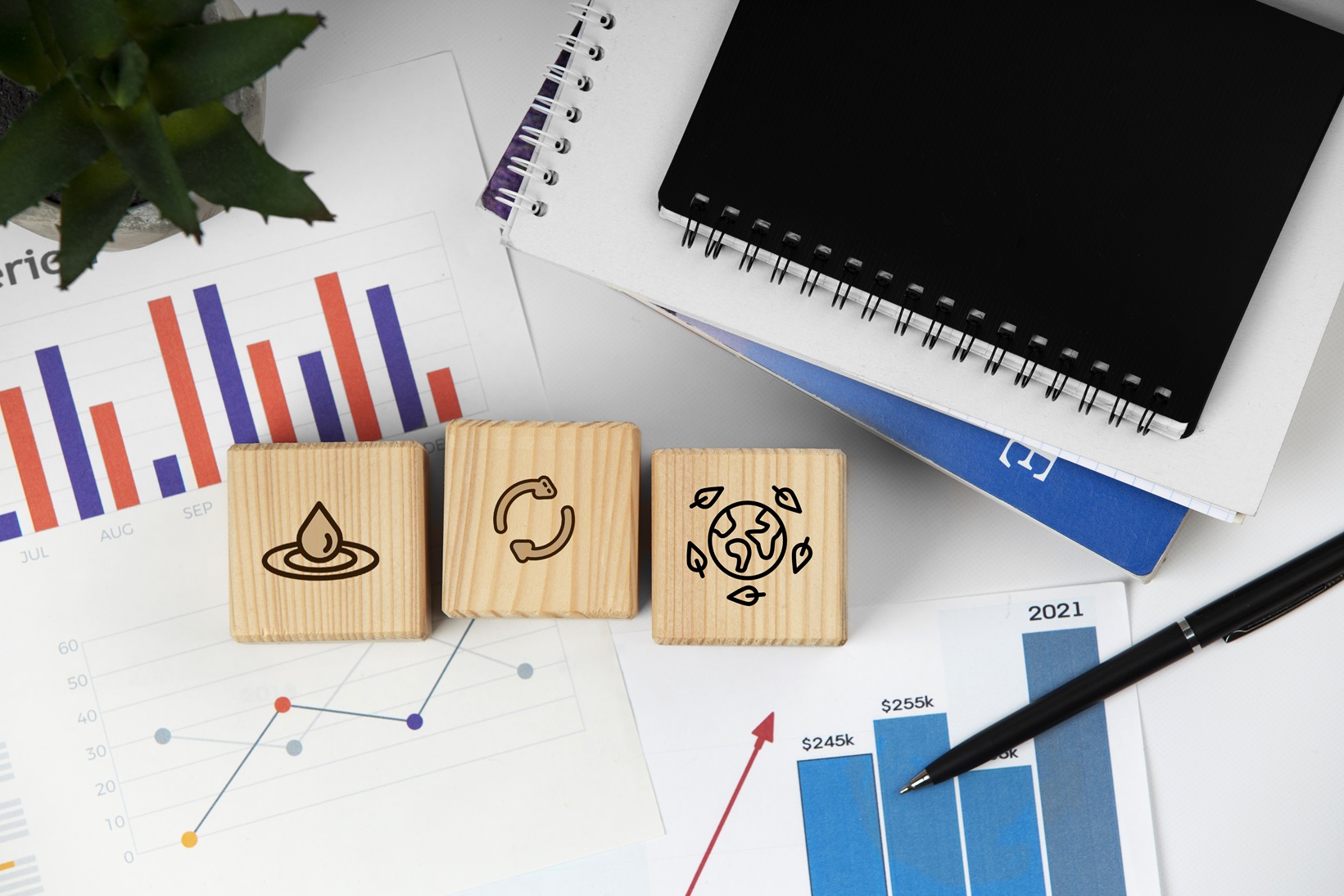 Unlocking Growth: Essential Financial Strategies for Scaling Your Business